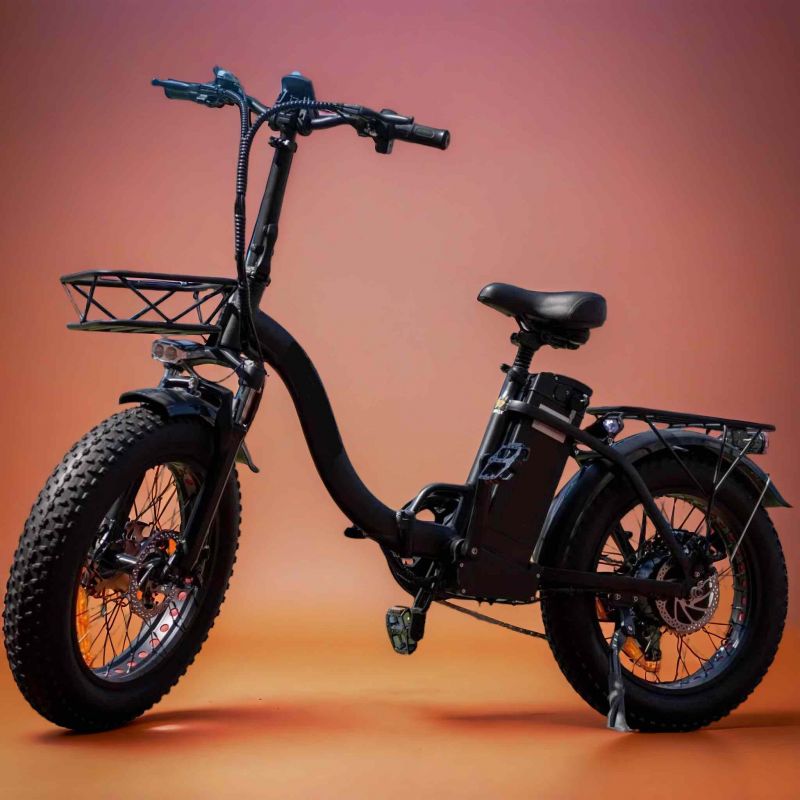 Электровелосипед E-bike Big Boy F11 PRO 750w 48v 20ah Электровелосипед E-bike Big Boy F11 PRO 750w 48v 20ah